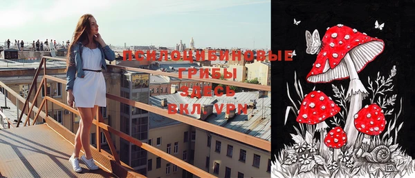 винт Арсеньев