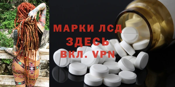 хмурый Алзамай