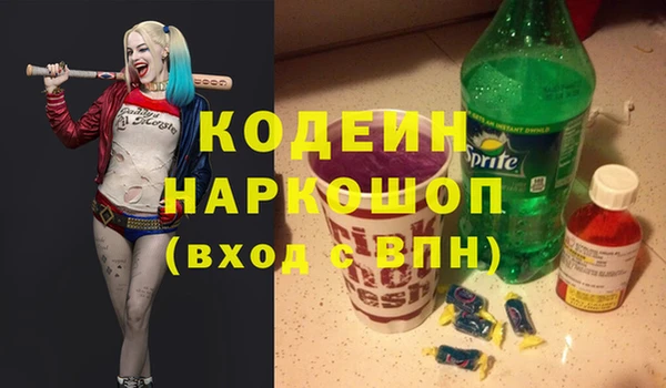 хмурый Кодинск