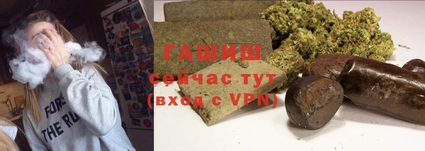 хмурый Алзамай